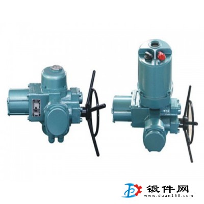 智能調節(jié)型電動裝置Q40-1W/T